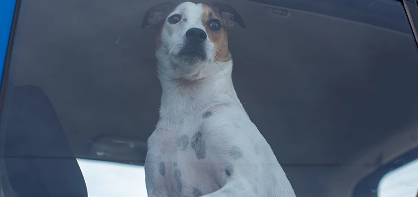 Car Lockout Solutions in Ontario, California